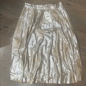 Silver Metallic Skirt